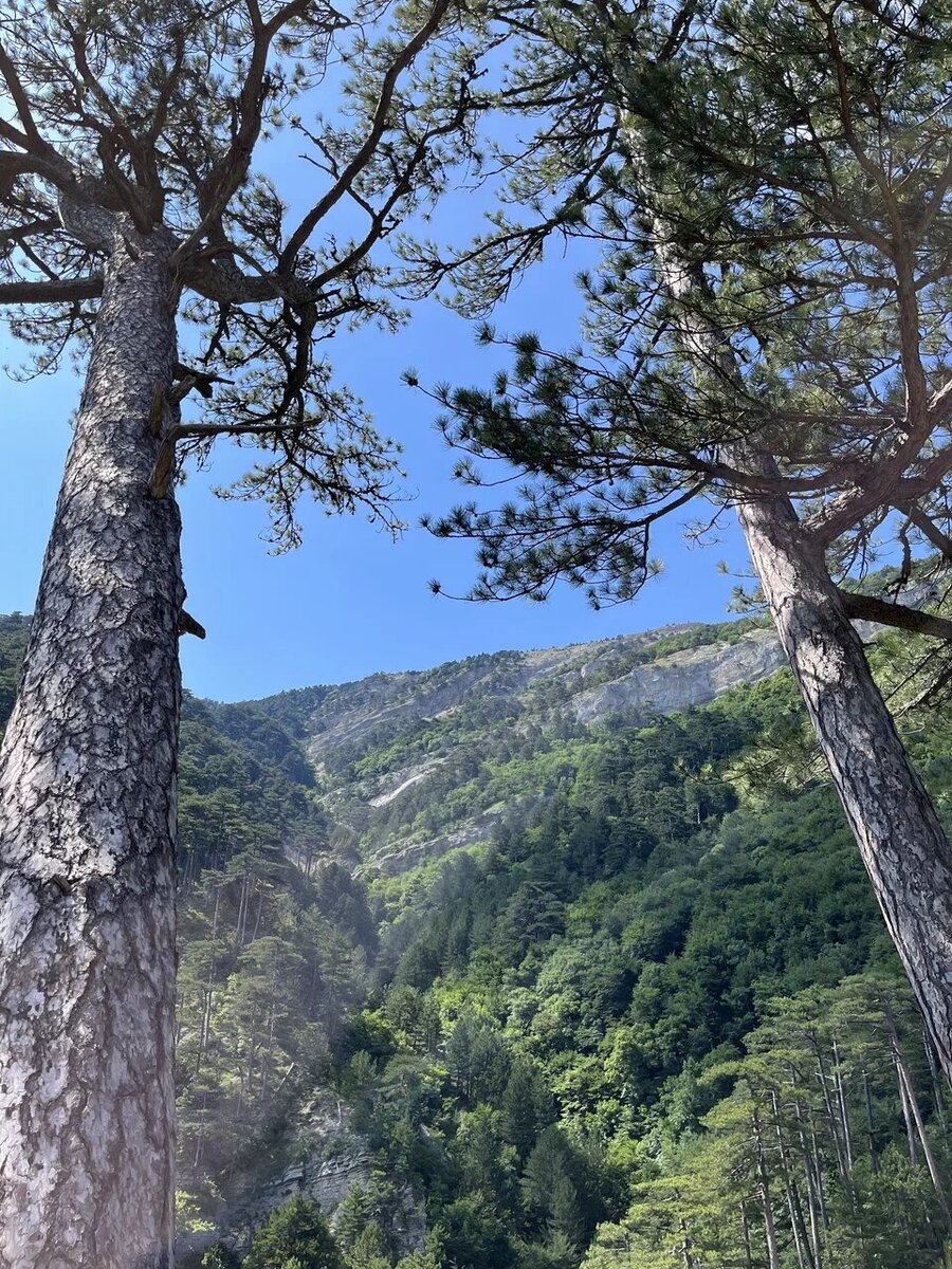 Крым 2022 по дороге с Беседки ветров на экскурсии.