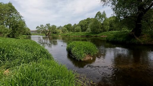 в городке 