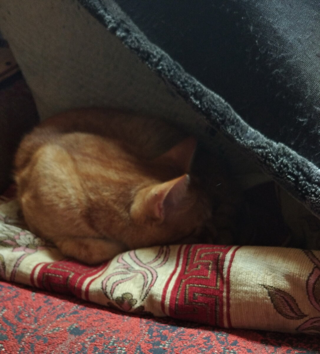 Личное  фото.
