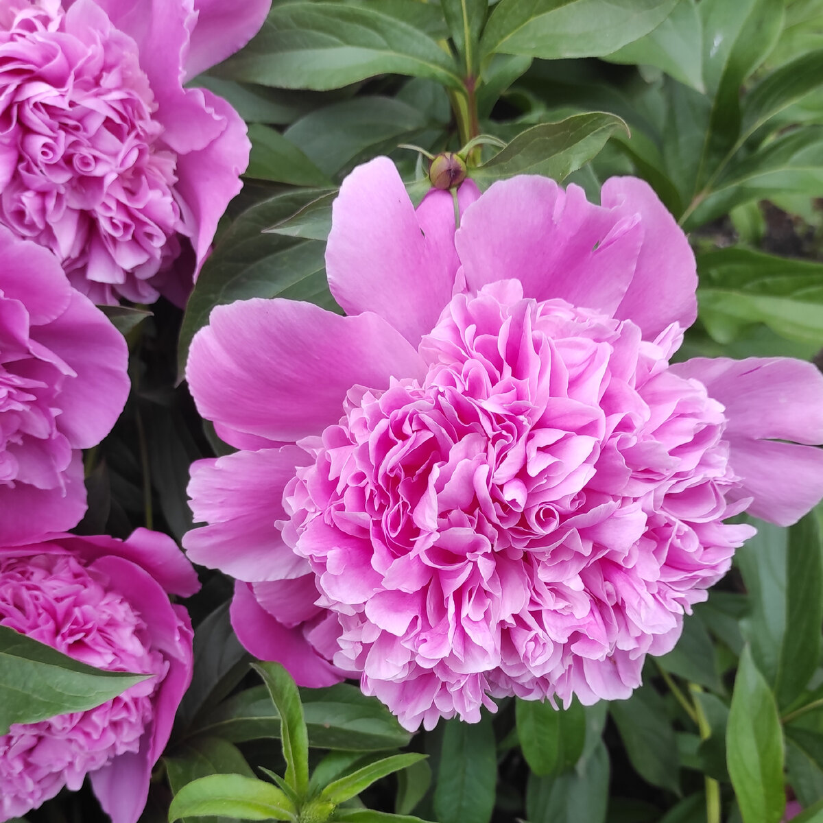 Ставьте лайк и подписывайтесь на мой канал:)