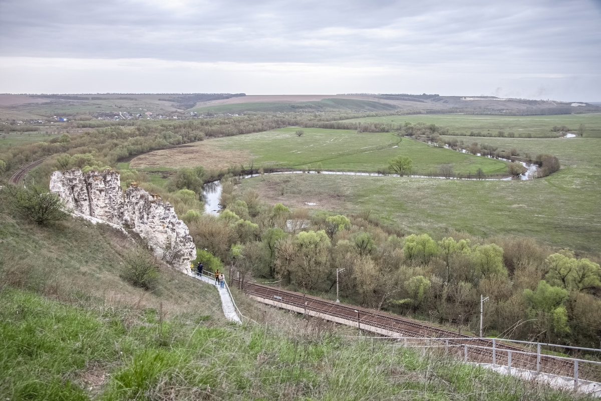 Земля воронежская область