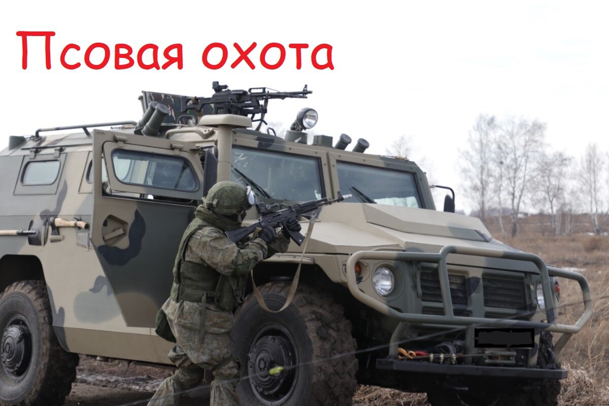 Тигр. Схватка. 