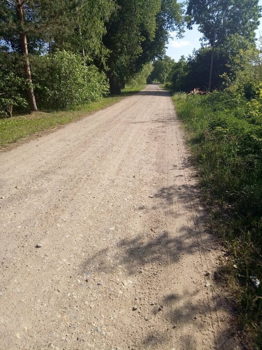 Дорога. Прямой участок предвещает неожиданный поворот, а то и развилку.