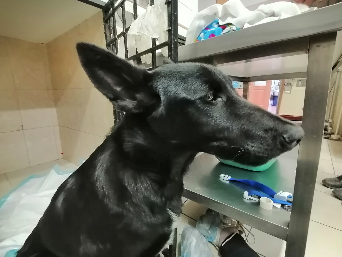 Это моя жизнь 