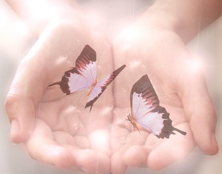 Души рождают души. Бабочка на ладони. Бабочки в душе. На руку бабочка. Счастье в ладонях.