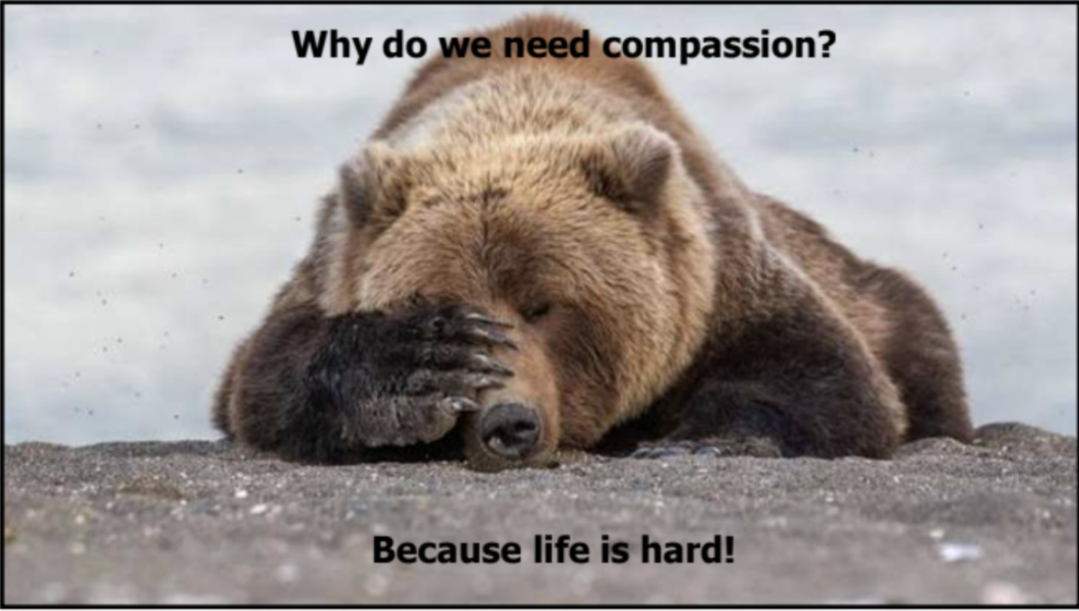 - Почему нам нужно сострадание? Потому что жизнь сложна!