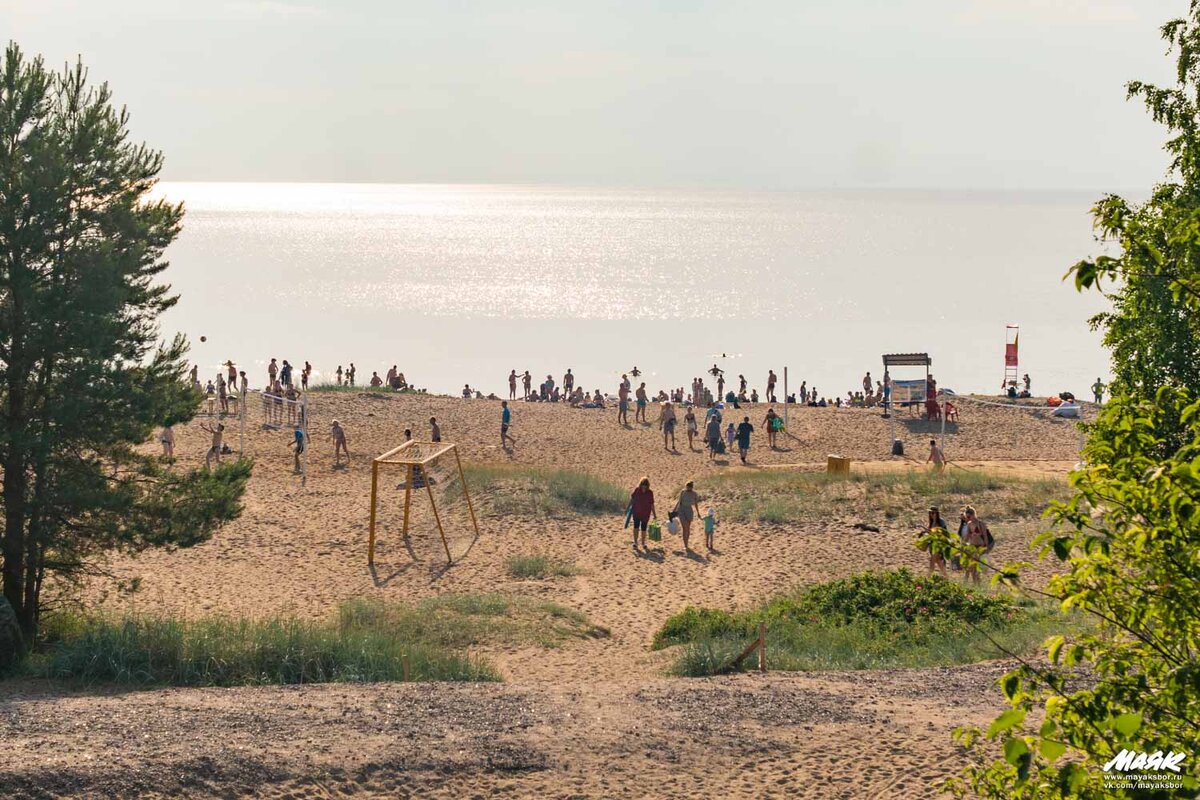 Пляж ленинградская область сосновый бор фото Питерское лето. Где можно недалеко от Петербурга отдохнуть у воды? Пять мест , к