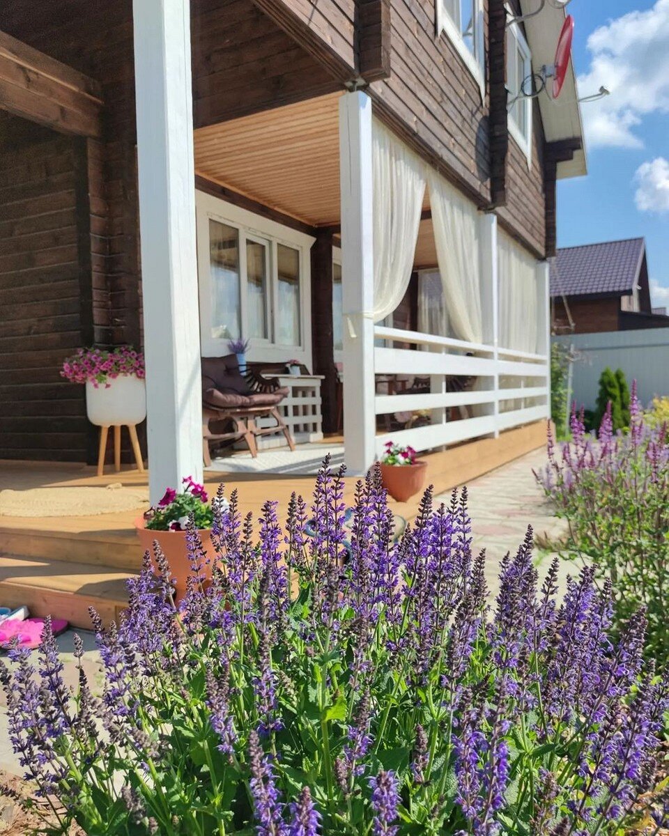    Соцсети блогера _dom_u_lesa_