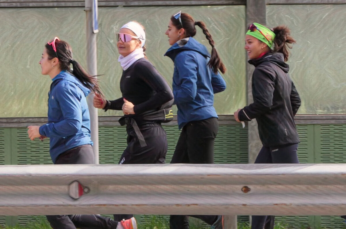 Дзен спортивные новости