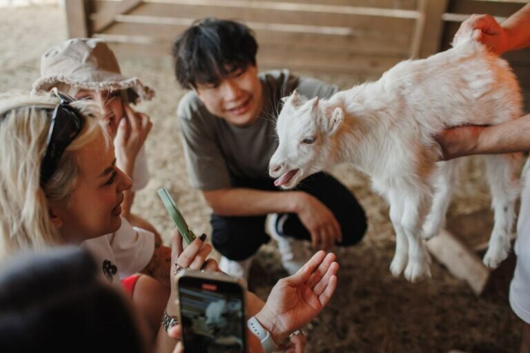    Блогеры Кристи Крайм и Бэдбарби приняли участие в съемках проекта VK «Места» в Оренбуржье Белов Михаил Александрович