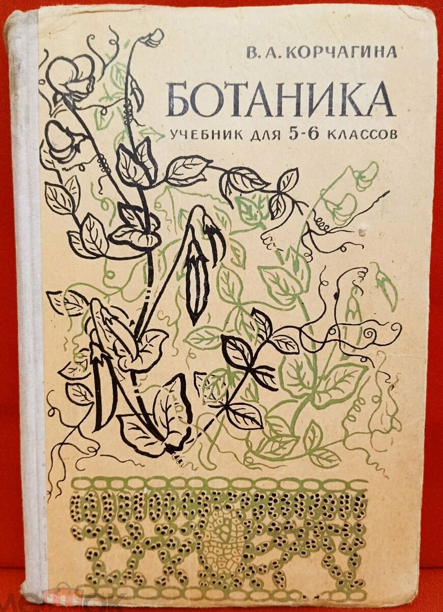 Обложка пробного издания (1963) учебника В. А. Корчагиной