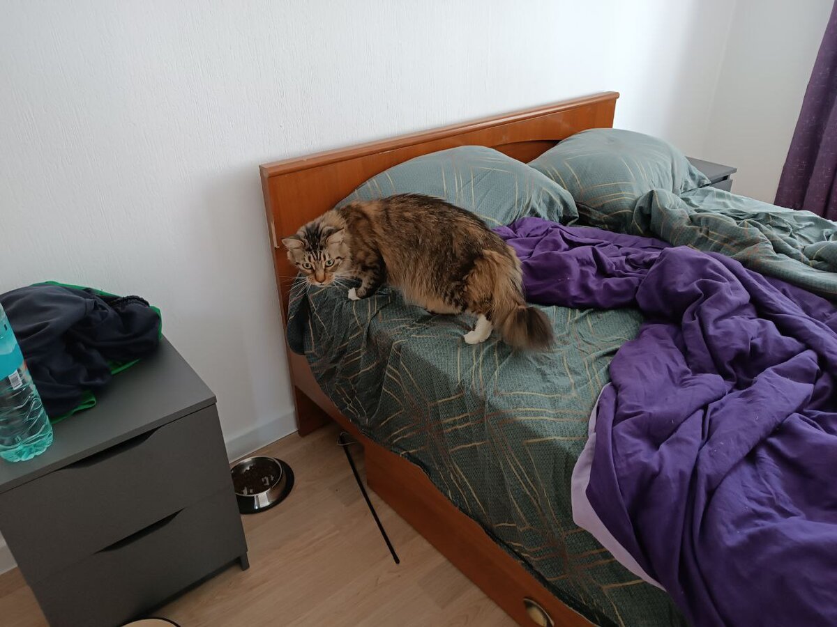 Пробирается иногда. Но я её оттуда выгоняю!