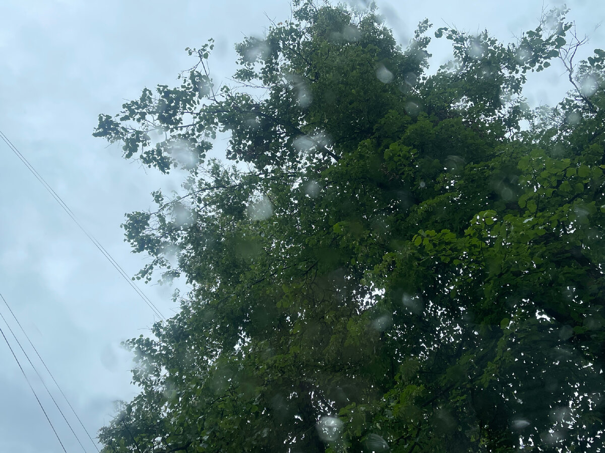 С такой погодой - не удивительно 