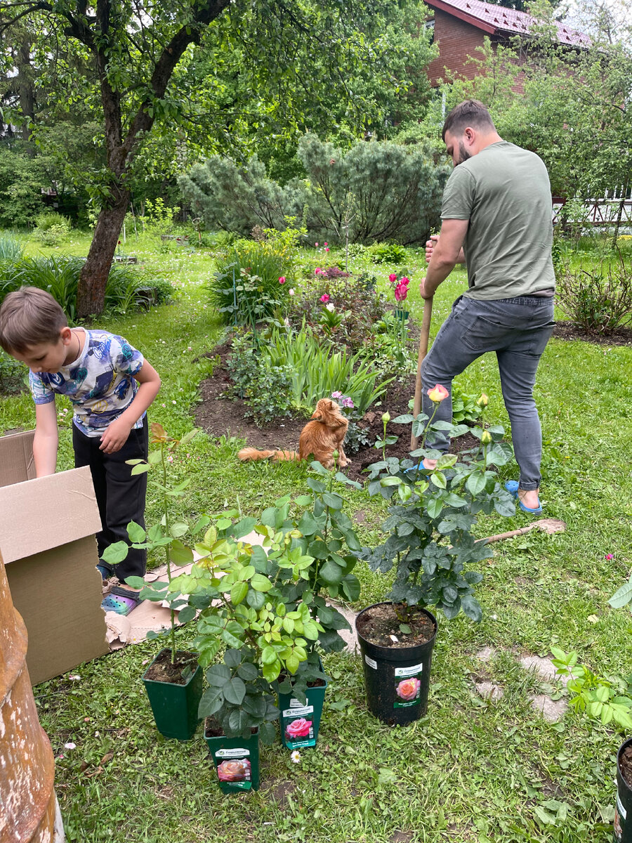 Места в розарии становится все меньше…