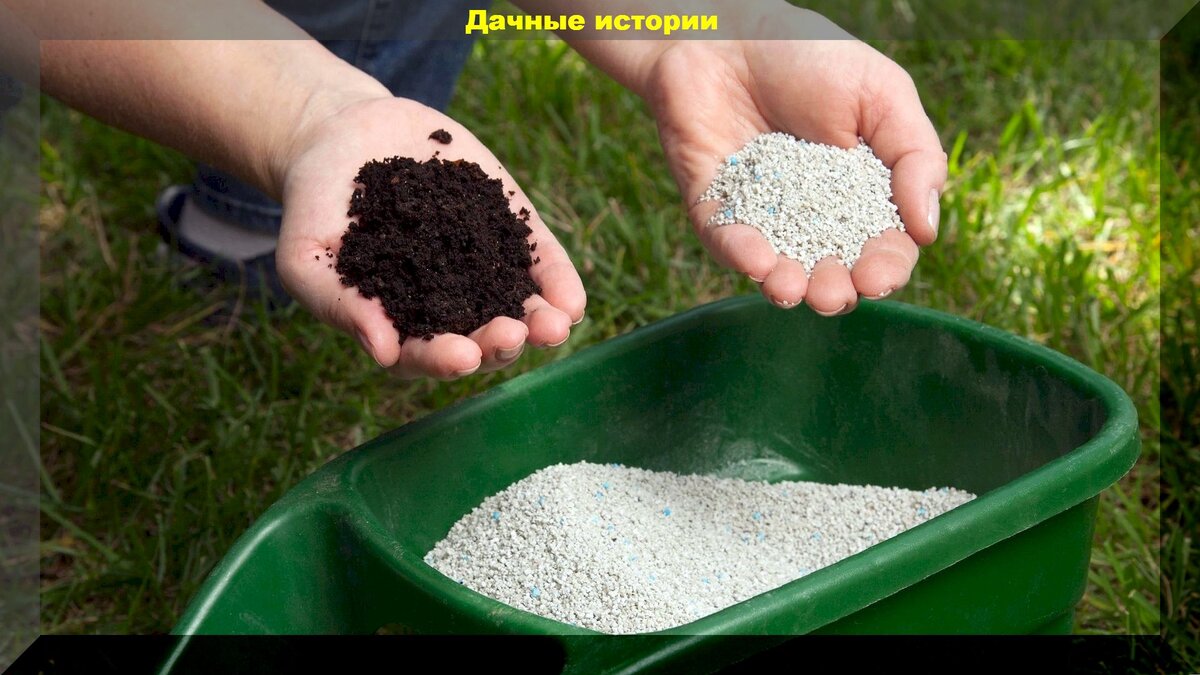 https://vk.com/photo-159774511_457260989