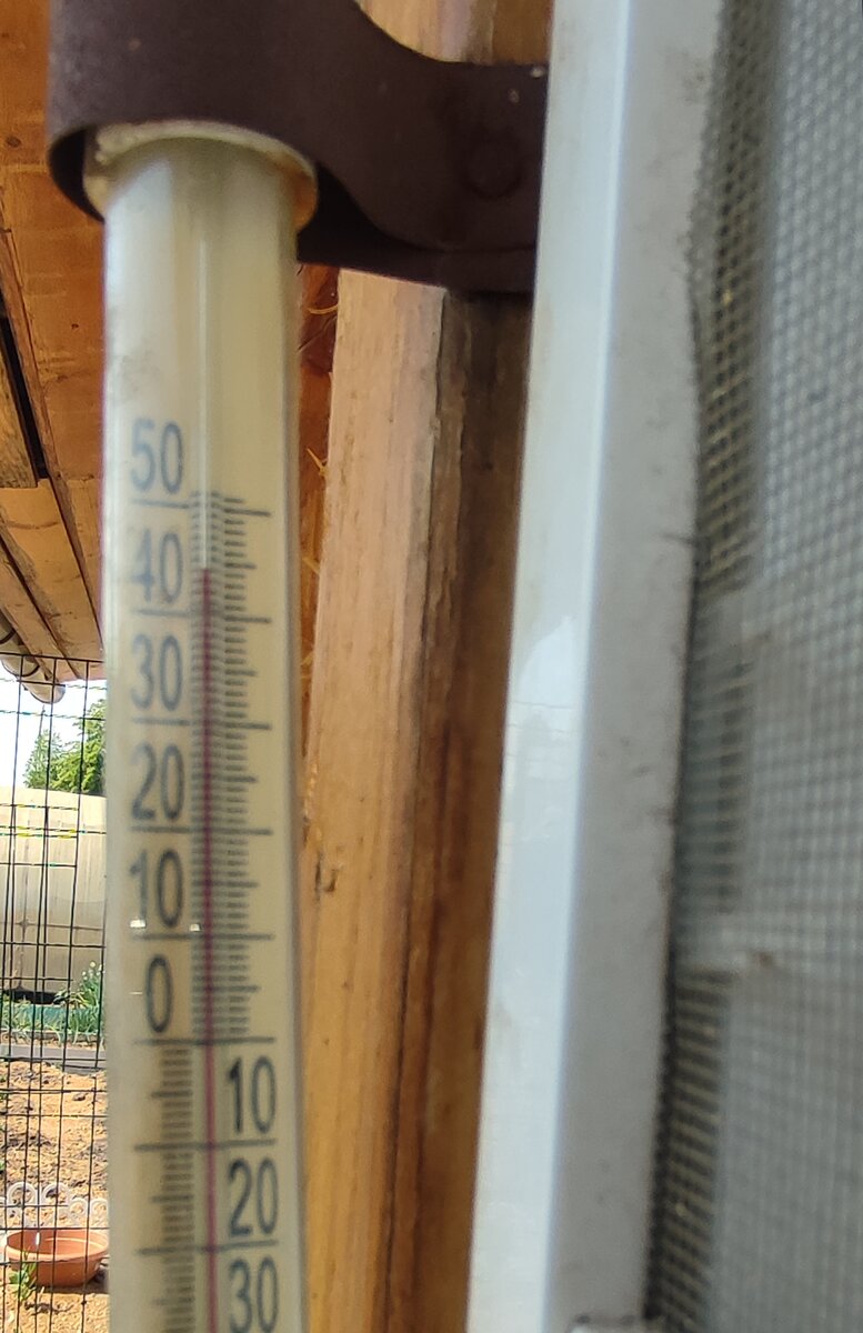 Скоро похоже дойдем до отметки в 50😅, осталось совсем немного... 
