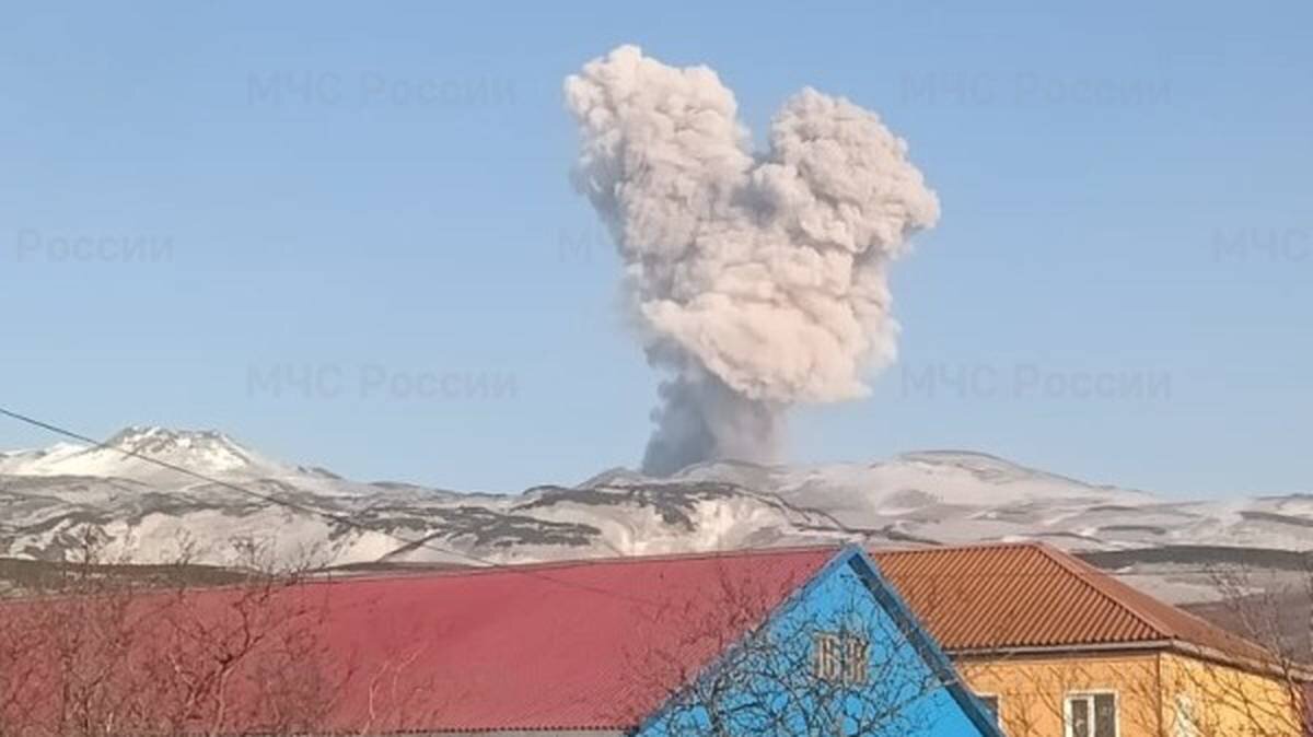    Фото: МЧС России по Сахалинской области