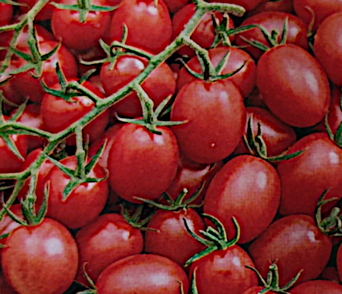 кнопка томат описание