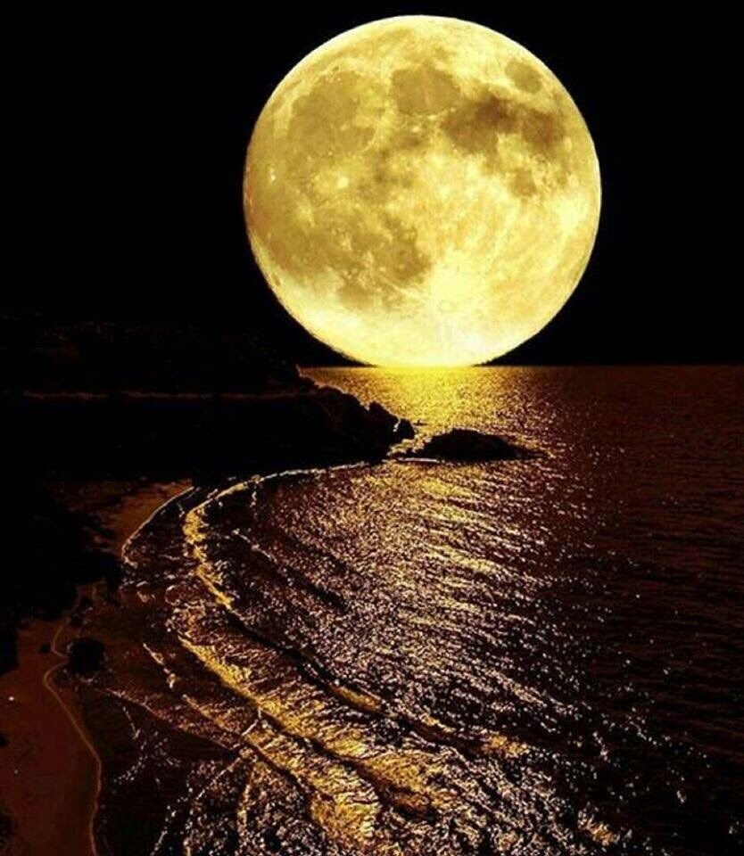 Фото из открытого источника 