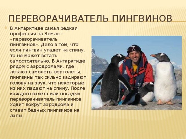 Общедоступные источники