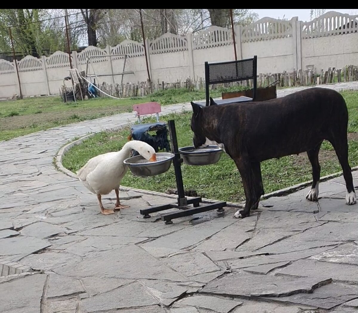 Я кто угодно, но не "я"