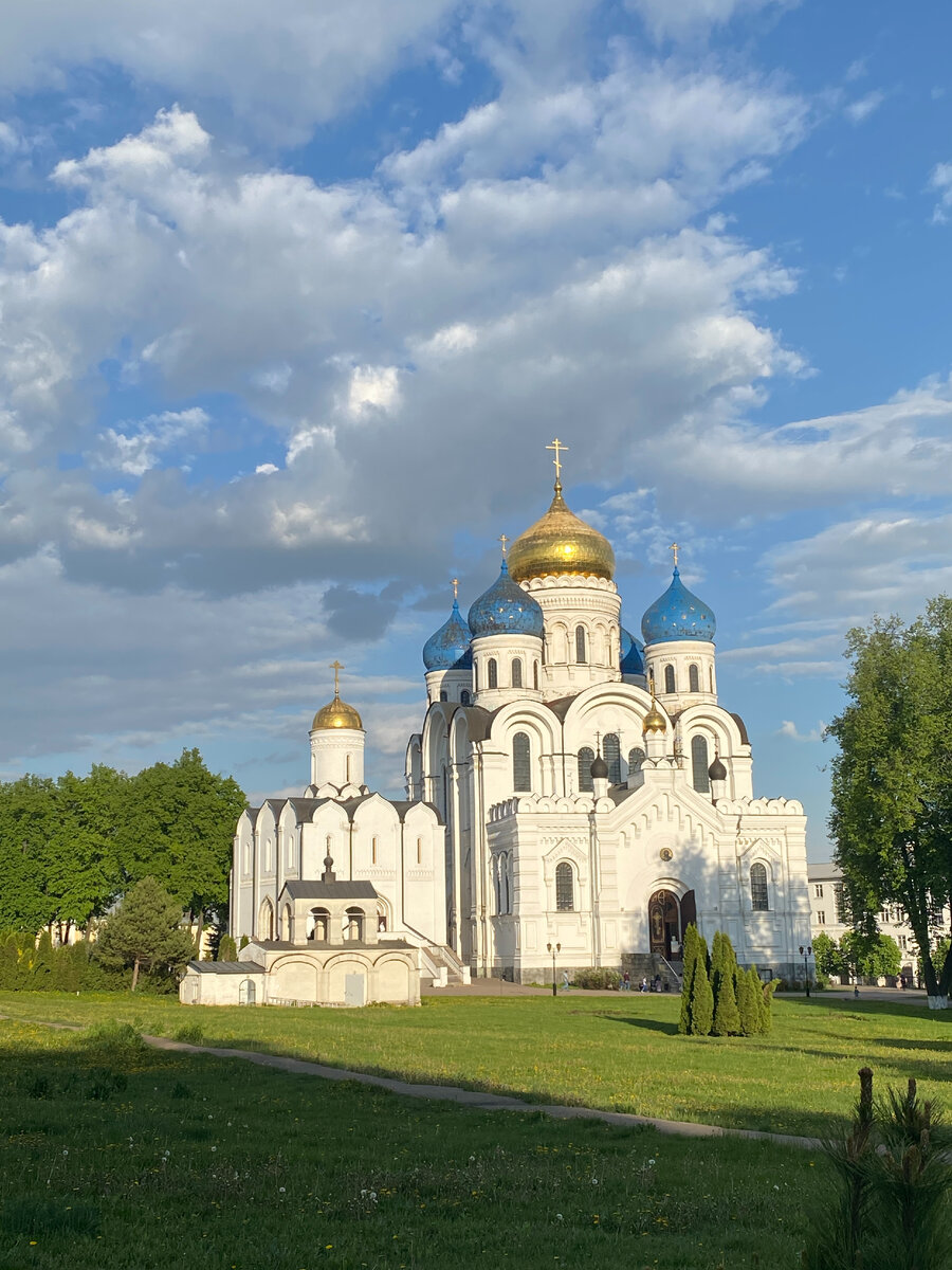 В гости к семейству нутрий! | Не могу сидеть дома | Дзен