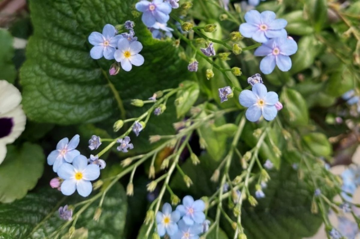    В Тверскую область пришло июньское тепло