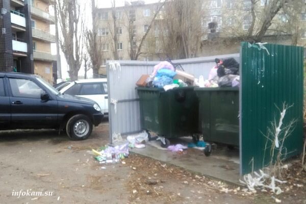    Спорная площадка по сбору ТКО (ул. Гоголя, 25)
