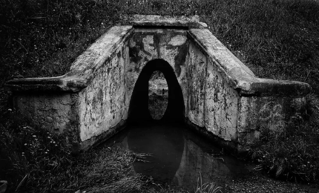 Фото: Александр Крючков 