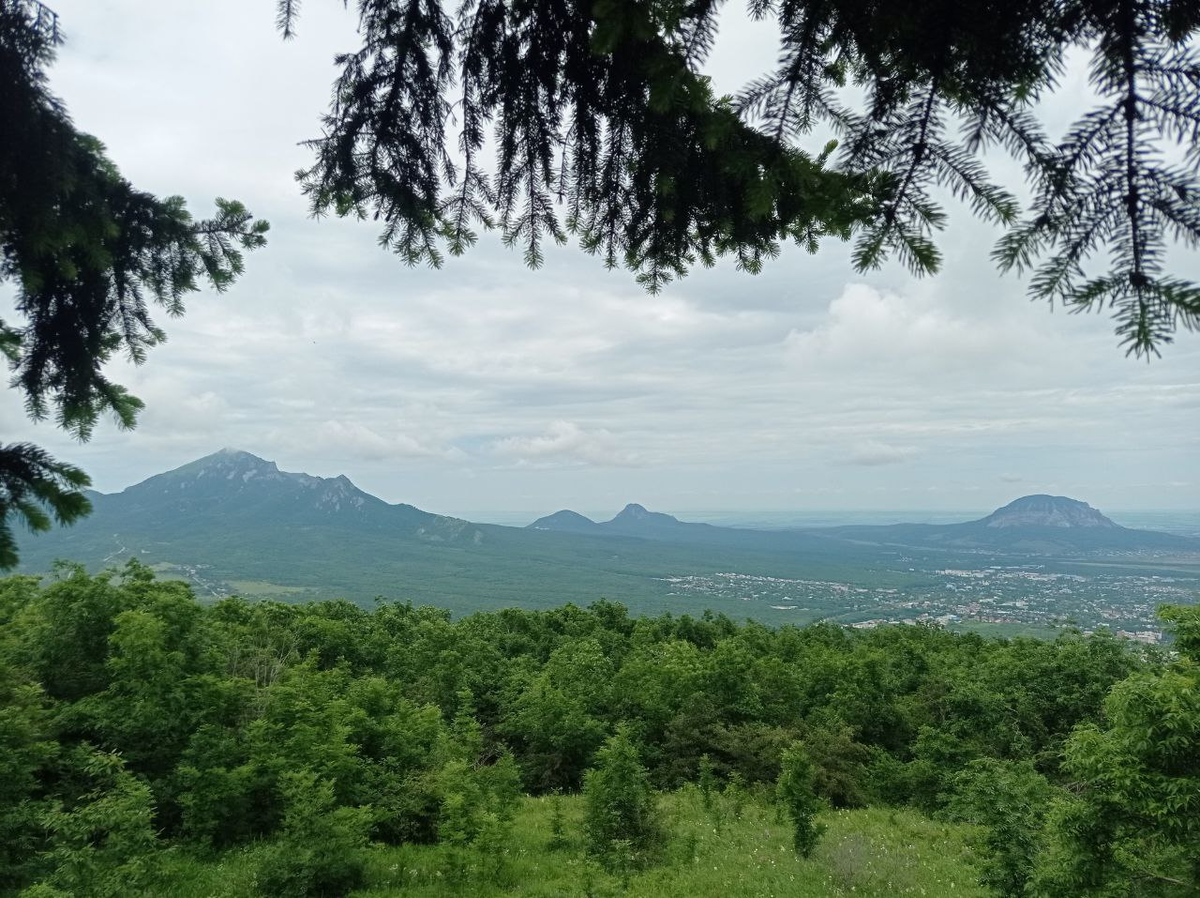 Итоги 5 месяцев инвестирования. Актуальный состав портфелей на ИИС и брокерском счёте