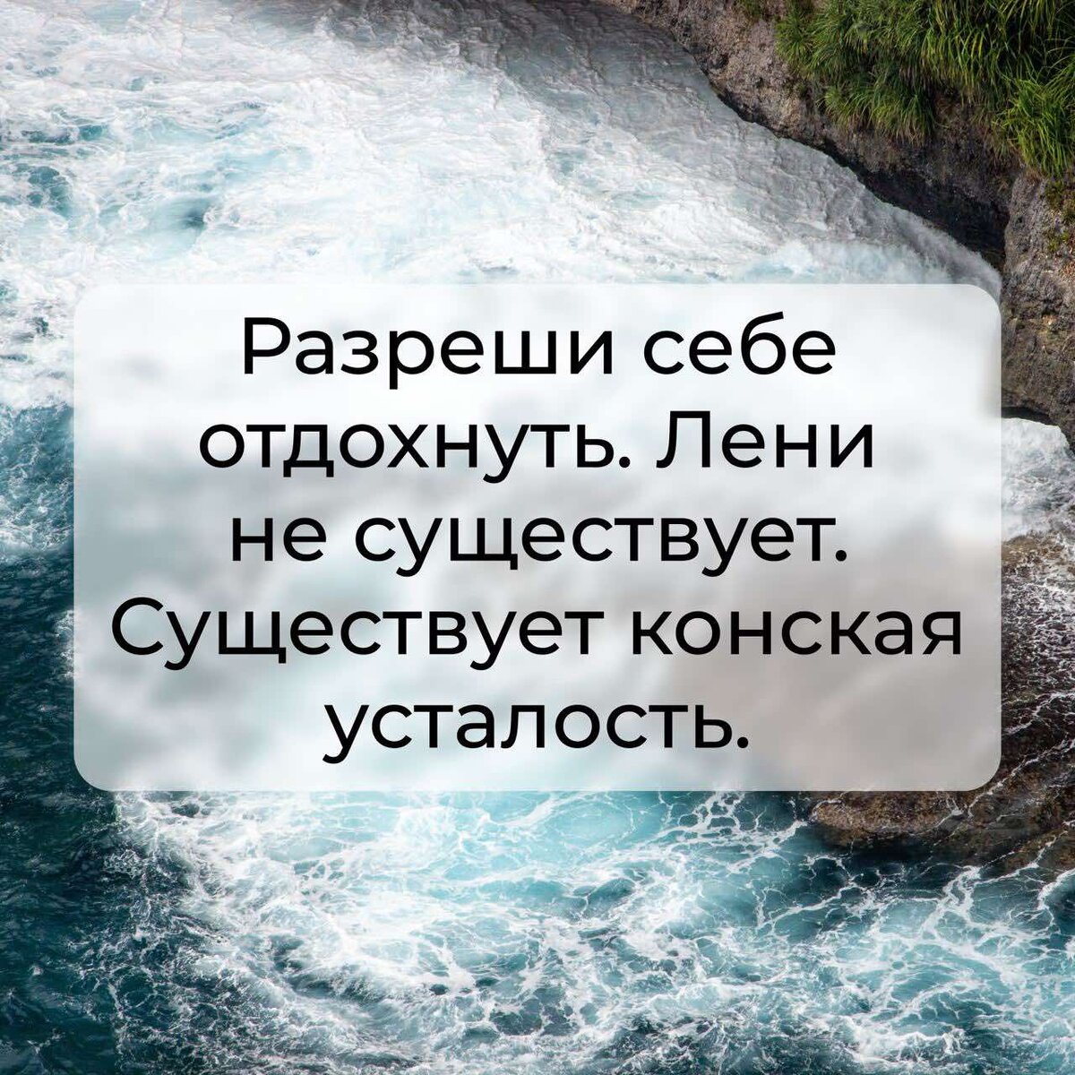 Наконец-то доползла... | Мои цветы жизни | Дзен