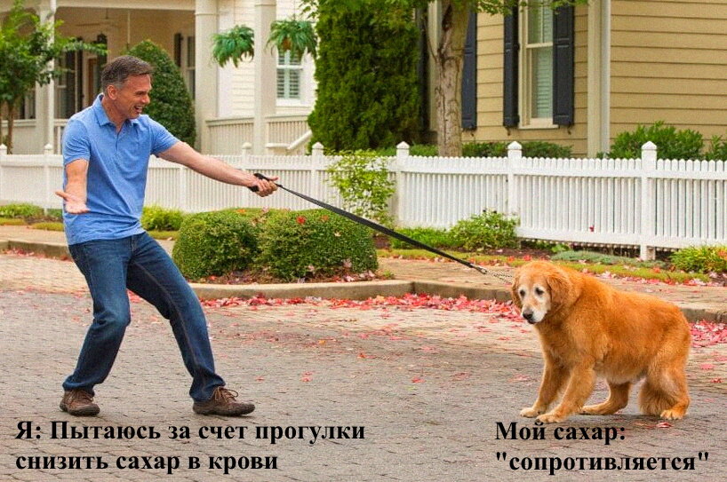 Яндекс.Картинки