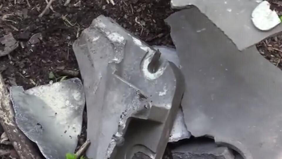 Фото: скриншот видео 
