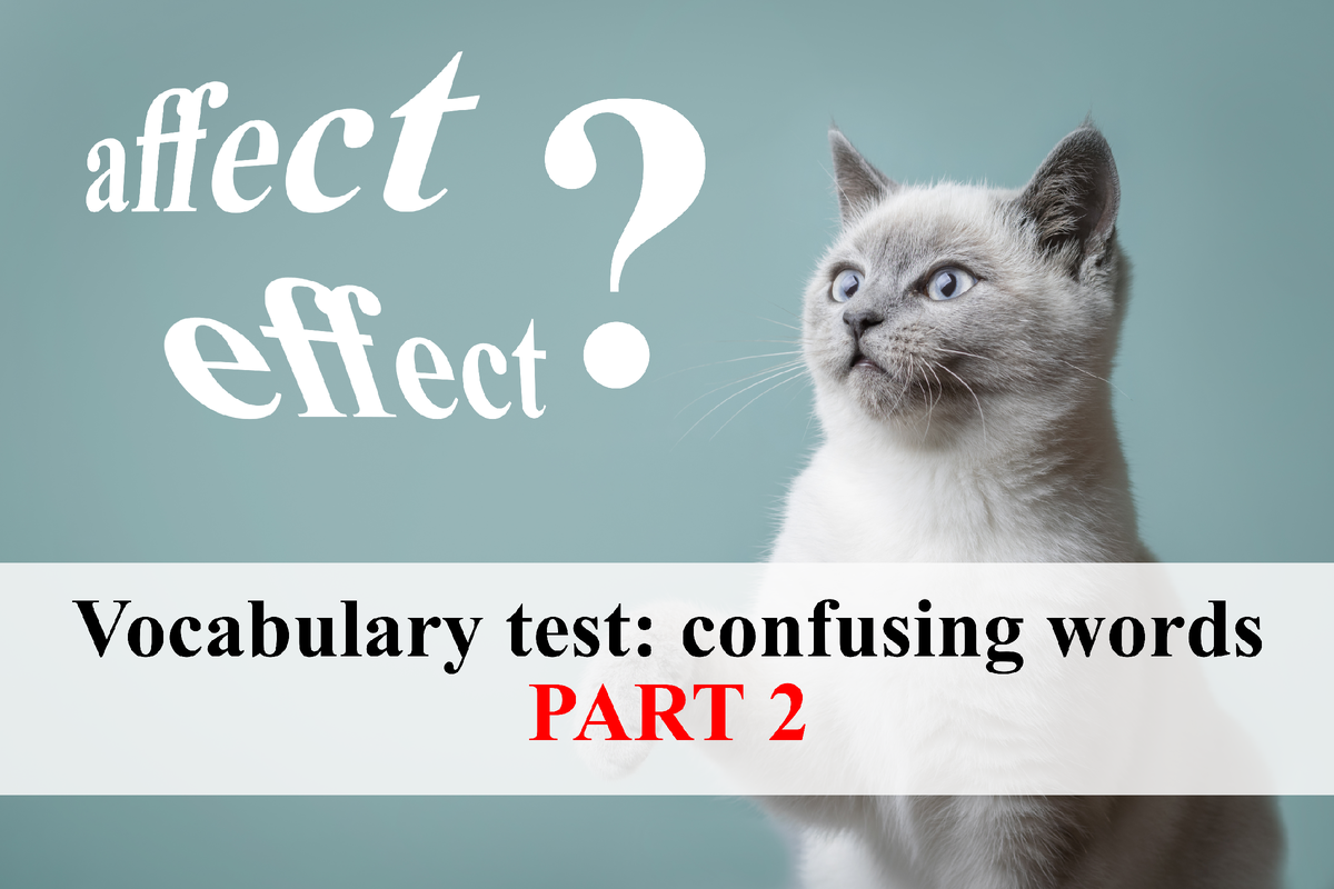 Кличка. Как переводится с английского cats. Как переводится с английского cats. Части тела животного по английскому языку. Язык общения кошек.