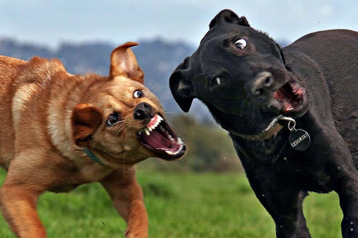 Примерно такие😁🙈