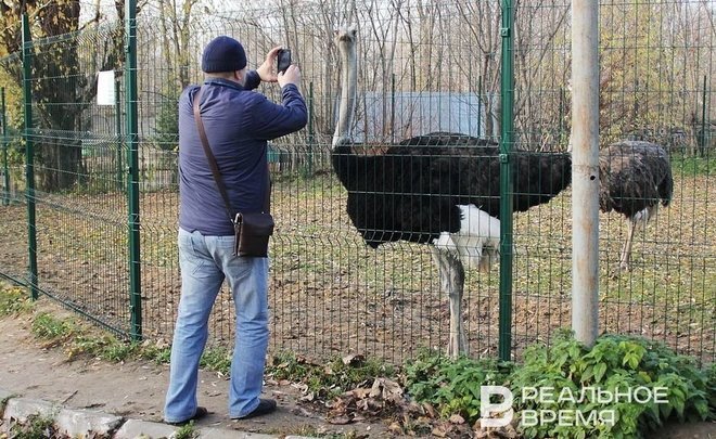 Фото: Илья Репин/realnoevremya.ru 