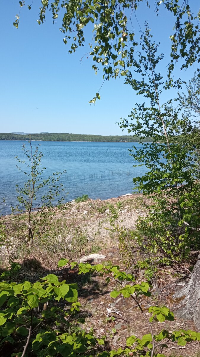 Будьте здоровы и счастливы. 