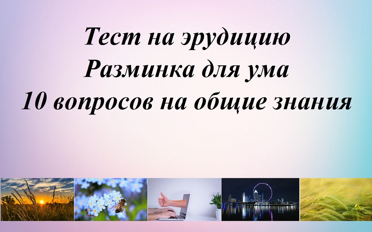 Какая по величине африка тест. Шпагат поперечный и продольный что легче. Какое водное пространство разделяет африку от европы. Тест разминка. Радужные друзья тест на знание текста.
