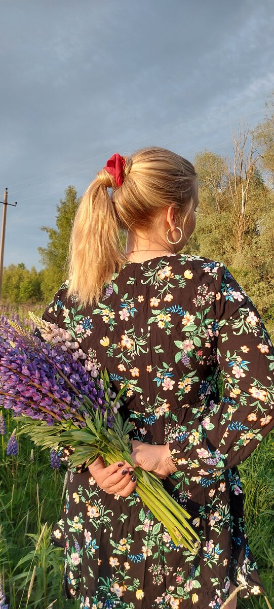 Люпины цветут. Фото из личного архива. 