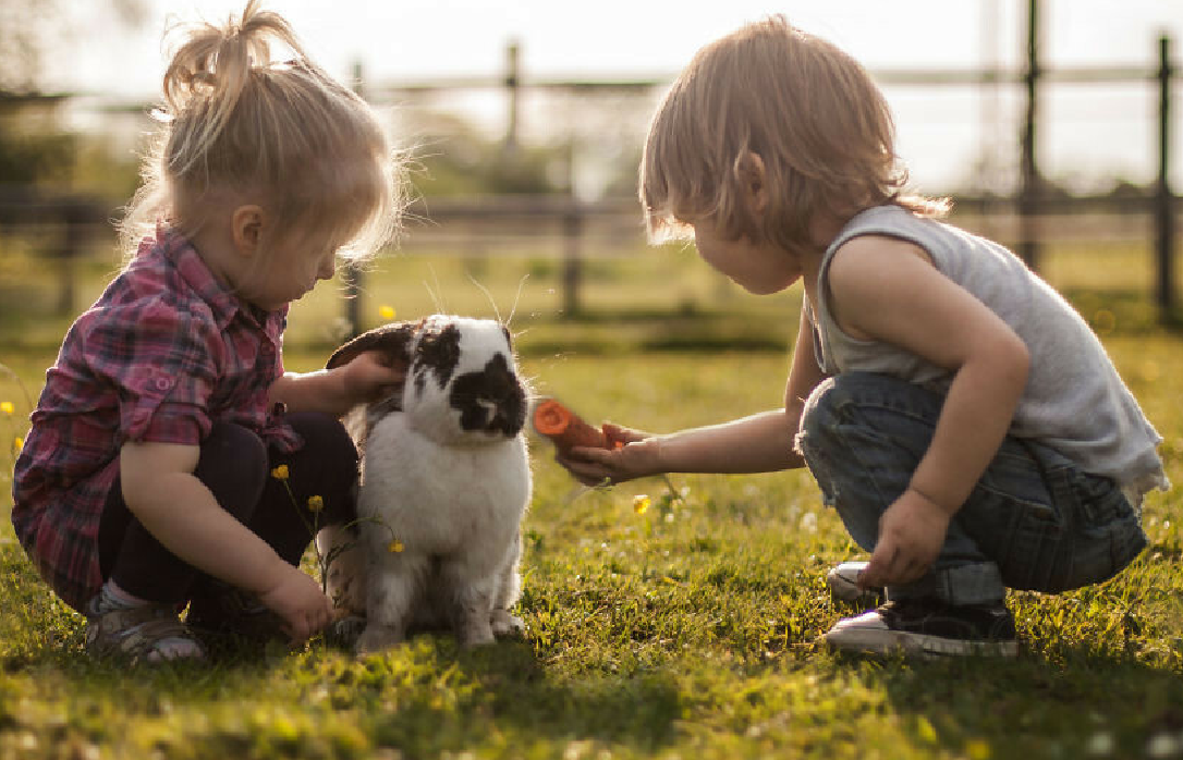 Говорят любопытство до добра. Дети с животными. Для детей. Животные. Доброта дети. Дети и животные Дружба.