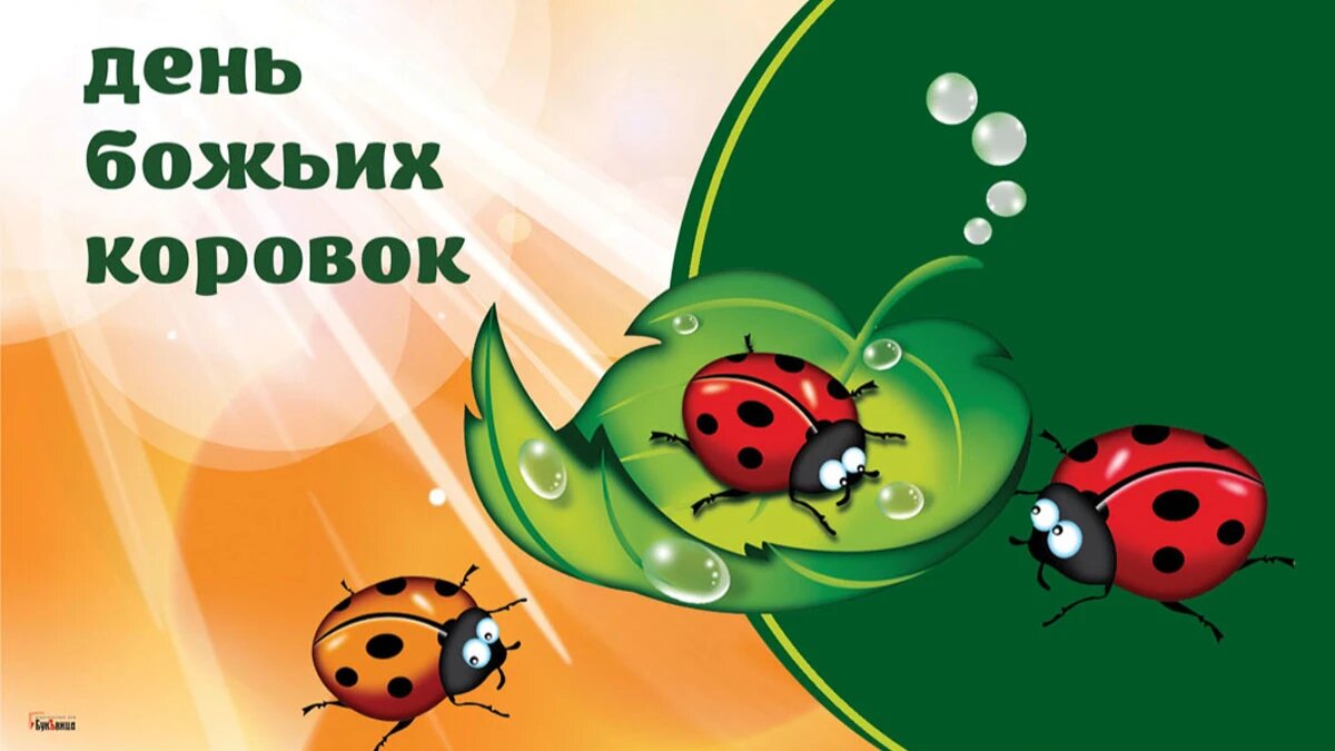 13 июня картинки