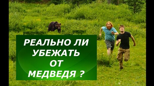 Реально ли убежать от медведя? А ты сможешь?