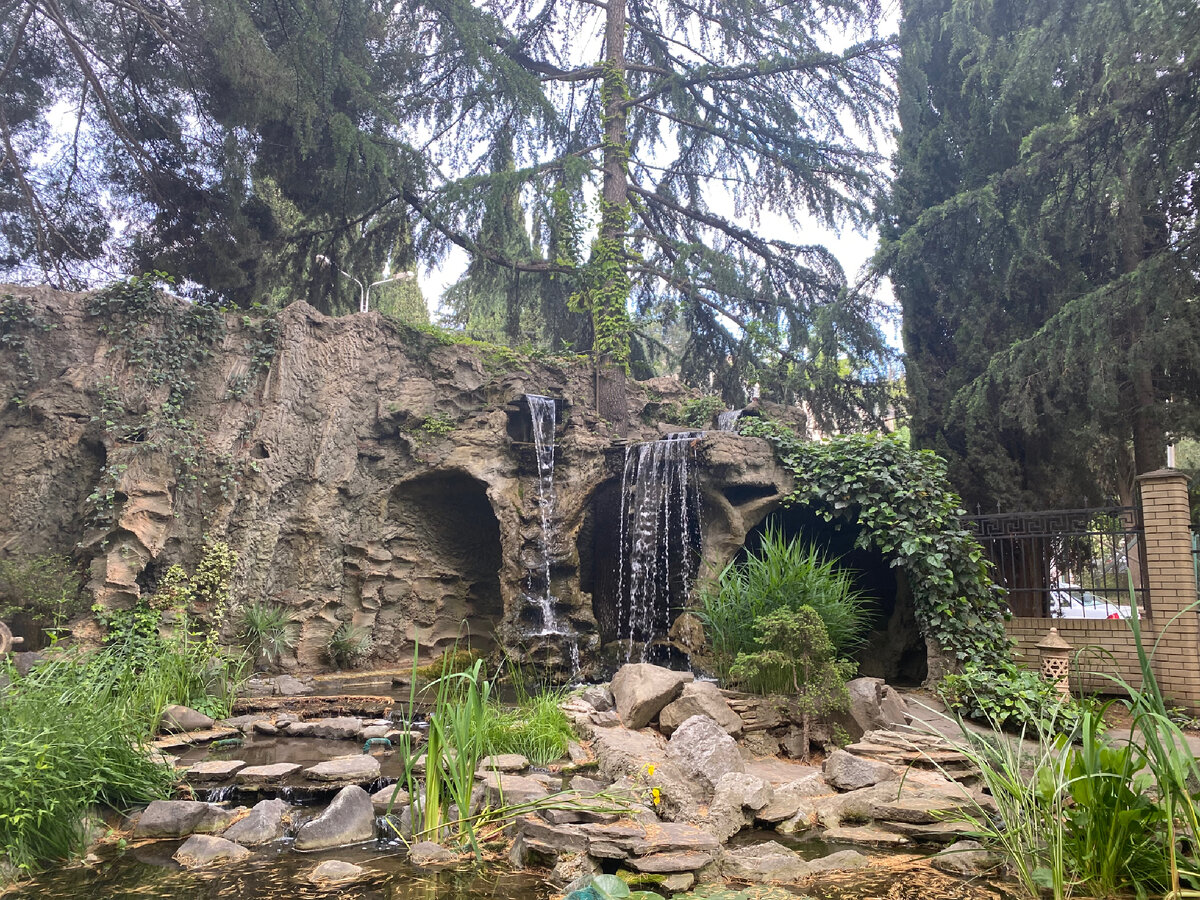 Фото автора: Россия, Крым, Алушта, park- hotel PORTE MARE. 