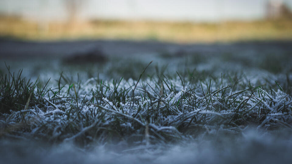Фото: © Unsplash