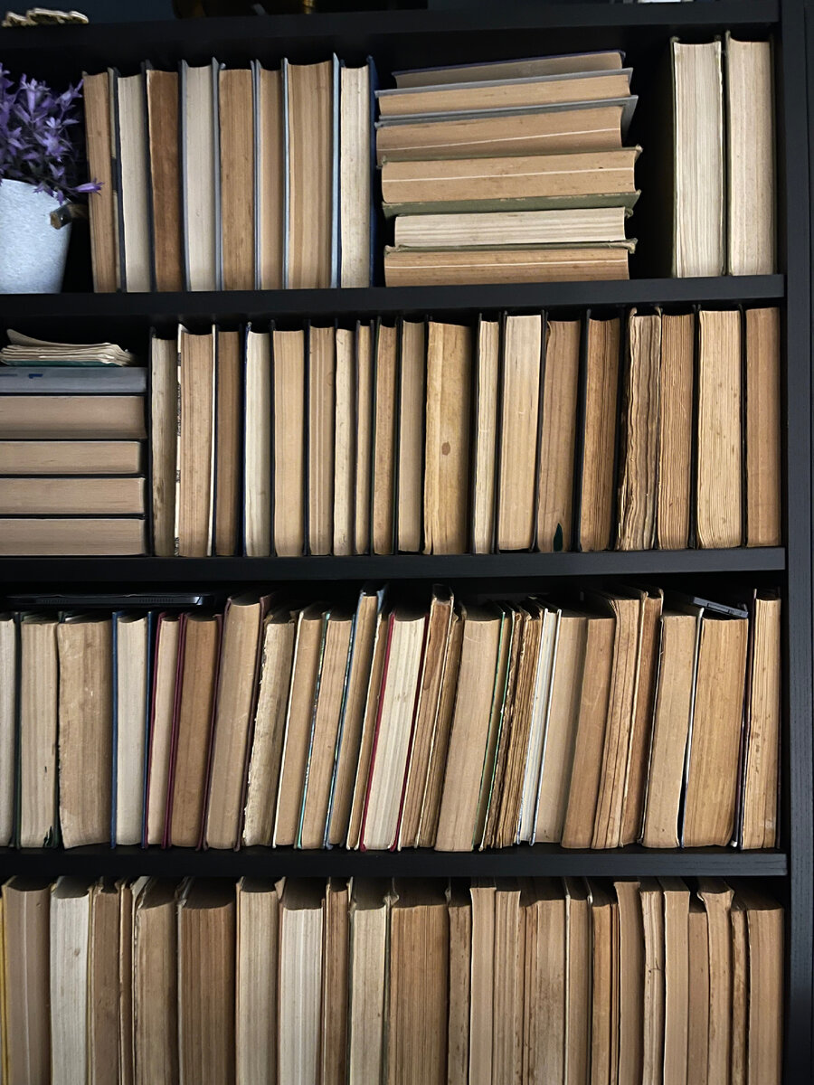 Список самых жутких книг