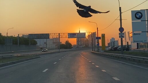 Жили были автомобили