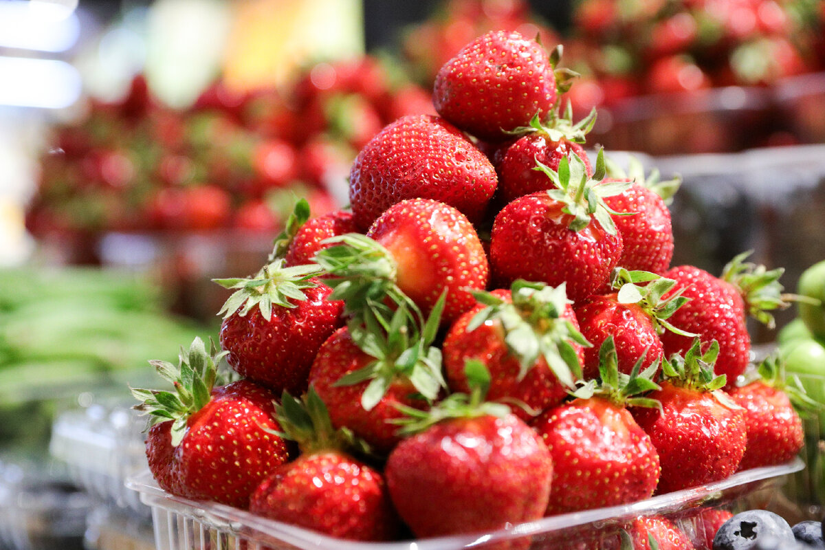 Фото: Bulkin Sergey/news.ru via globallookpress.com/Globallookpress 