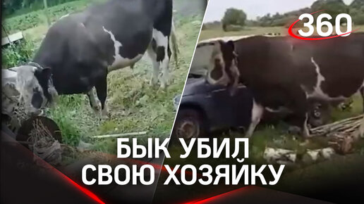 Самые горячие видео со скотиной с фермы