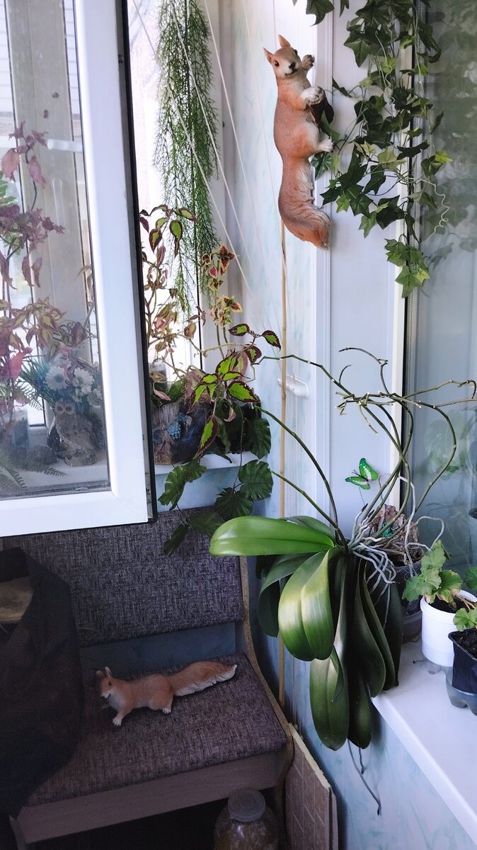 Фото автора.