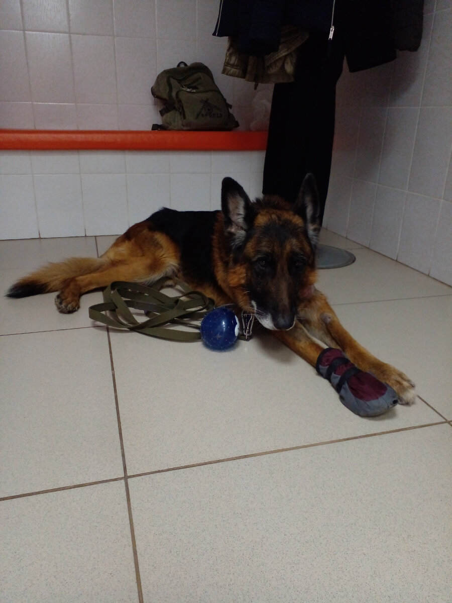 Зашли в клинику, ждём. 2 апреля, Екатеринбург, клиника "Ветдоктор". Фото автора. 